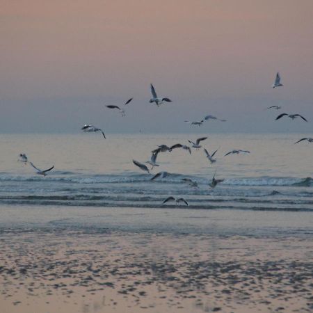 Holiday Home Omaha Beach With Garden Aignerville 外观 照片